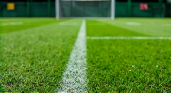 Die besten 8 Tipps bei Rasenpflege