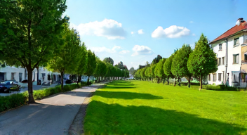 Ökonomische Konsequenzen der Rasenproblematik (8/10)