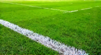 Perspektiven zu Rasenproblemen im Fußball